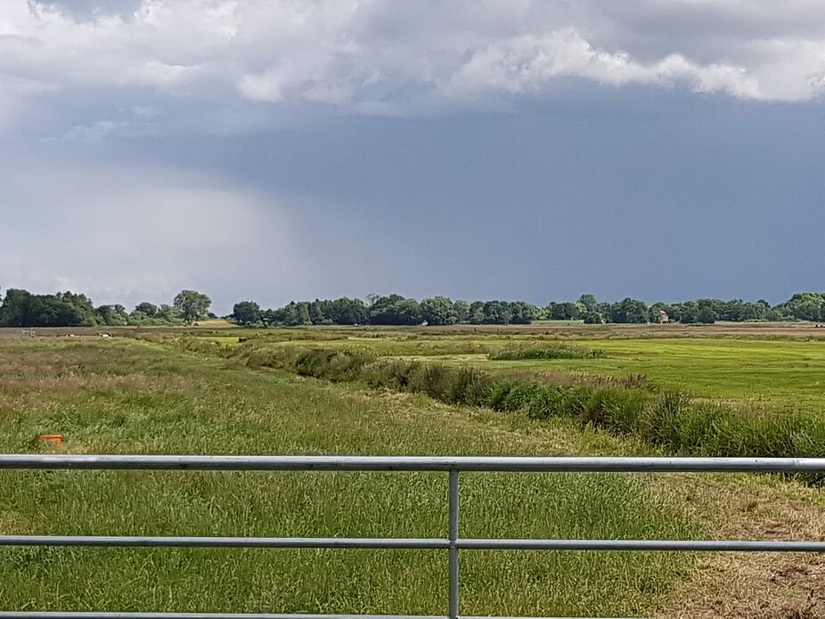 Landschaft Blocklandrunde