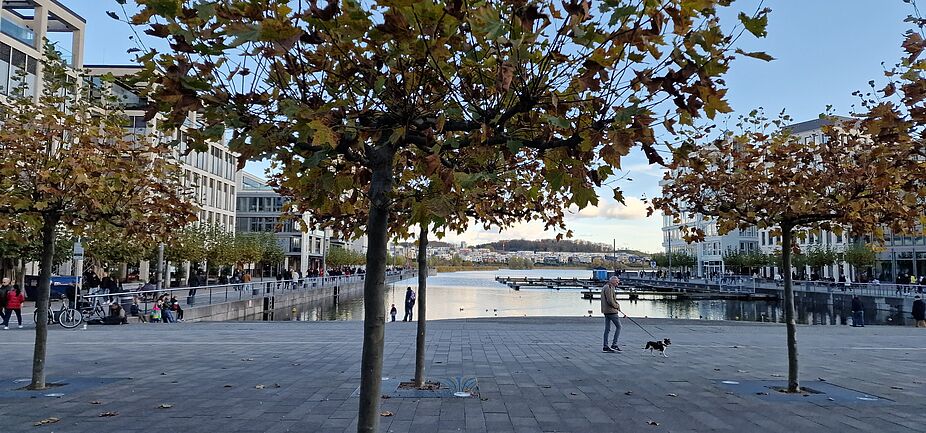 Schöner See in Dortmund