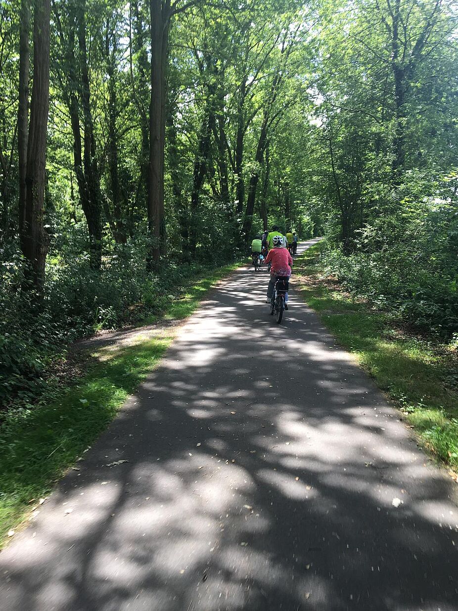 Nach Welver über den Alleenradweg .