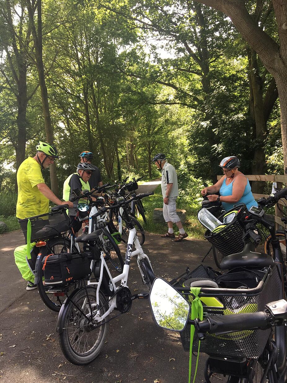 Nach Welver über den Alleenradweg .