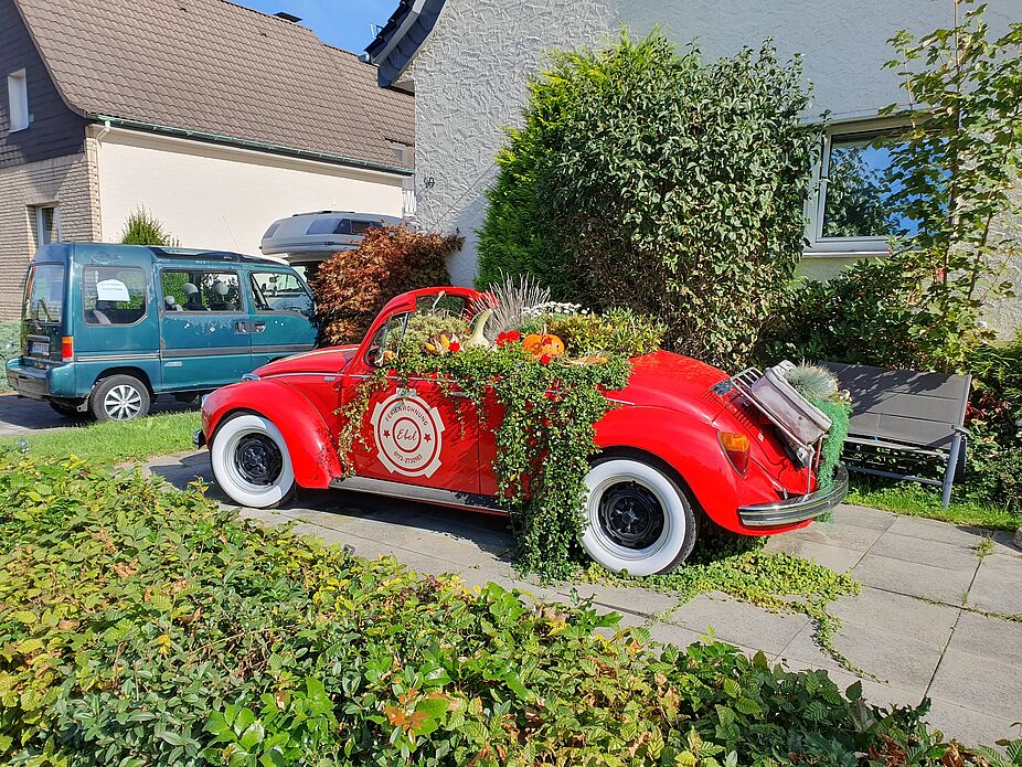 schönes Planzgefäß