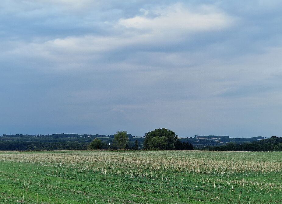 ...schöne Aussicht...