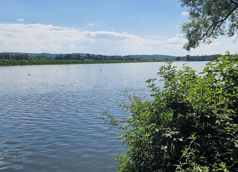 See am Bahnwald See am Bahnwald