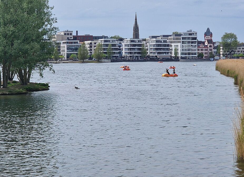 Phoenixsee