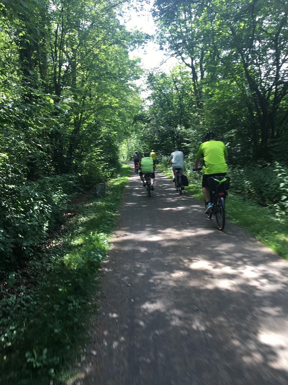 Nach Welver über den Alleenradweg .
