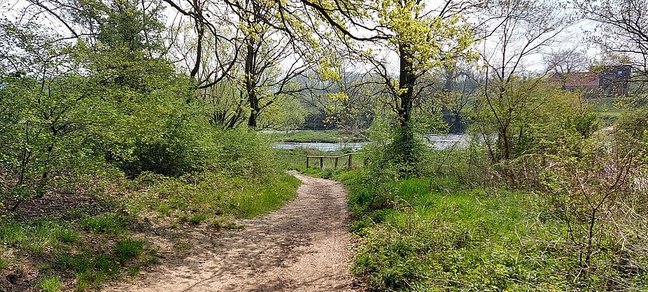 am alten Dortmund-Ems-Kanal
